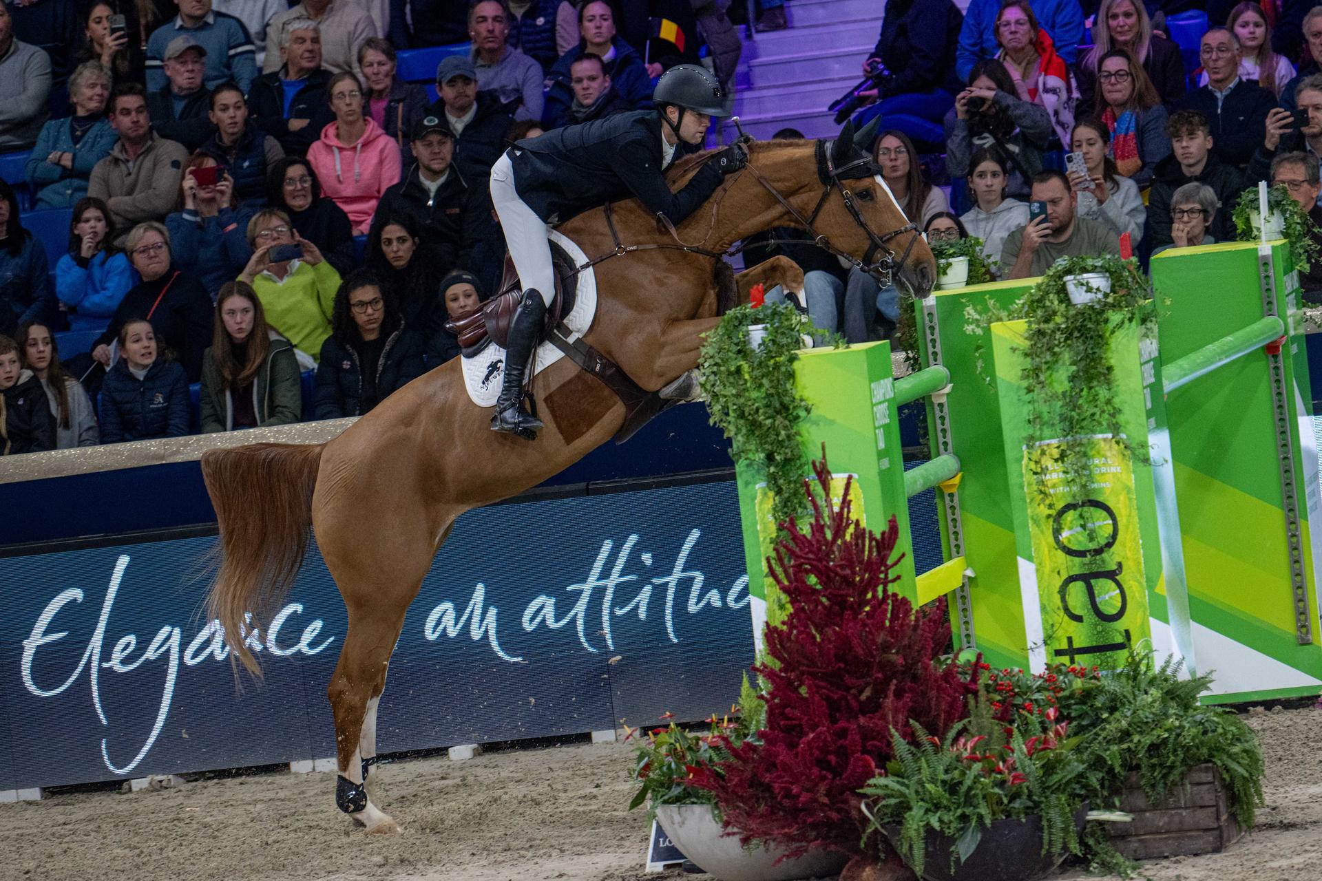 Belgian rider Gilles Thomas with Qalista DN is pictured during the FEI World Cup Jumping competition at the "Vlaanderens Kerstjumping" equestrian event in Mechelen on Tuesday 30 December 2025. BELGA PHOTO JONAS ROOSENS