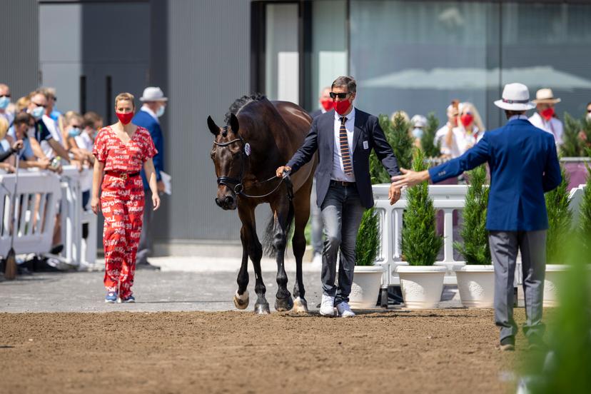 Groom Wim Verwimp and Alexa Fairchild's horse Dabanos d'O4 pictured during the horse inspection of Belgian dressage team ahead of the 'Tokyo 2020 Olympic Games' in Tokyo, Japan on Friday 23 July 2021. The postponed 2020 Summer Olympics are taking place from 23 July to 8 August 2021. BELGA PHOTO DIRK CAREMANS