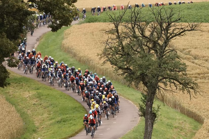 The pack of riders (peloton) cycles past fields during the 8th stage of the 111th edition of the Tour de France cycling race, 183,5 km between Semur-en-Auxois and Colombey-les-deux-Eglises, on July 6, 2024. Anne-Christine POUJOULAT / AFP