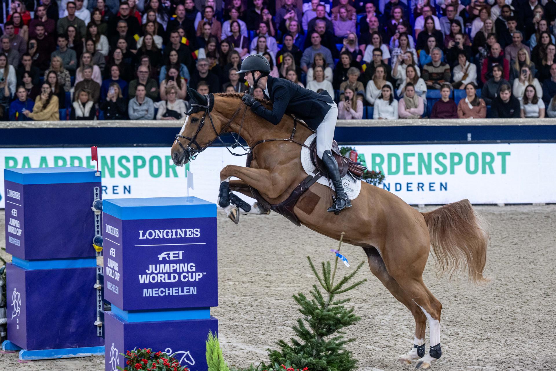 Belgian rider Gilles Thomas with Qalista DN is pictured during the FEI World Cup Jumping competition at the "Vlaanderens Kerstjumping" equestrian event in Mechelen on Tuesday 30 December 2025. BELGA PHOTO JONAS ROOSENS